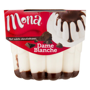 Mona Dame Blanche Pudding 450ml